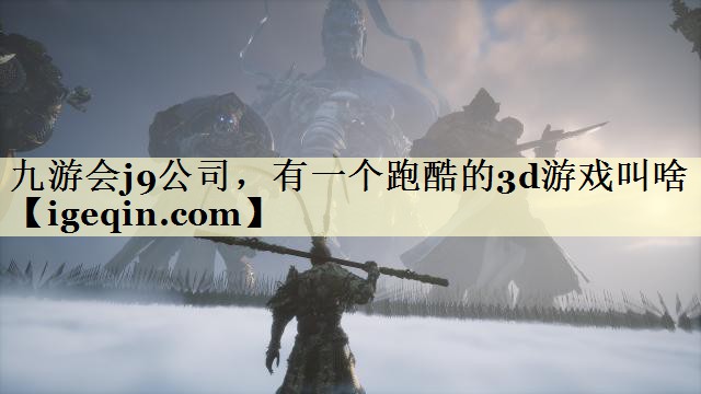 南宫28NG公司，有一个跑酷的3d游戏叫啥